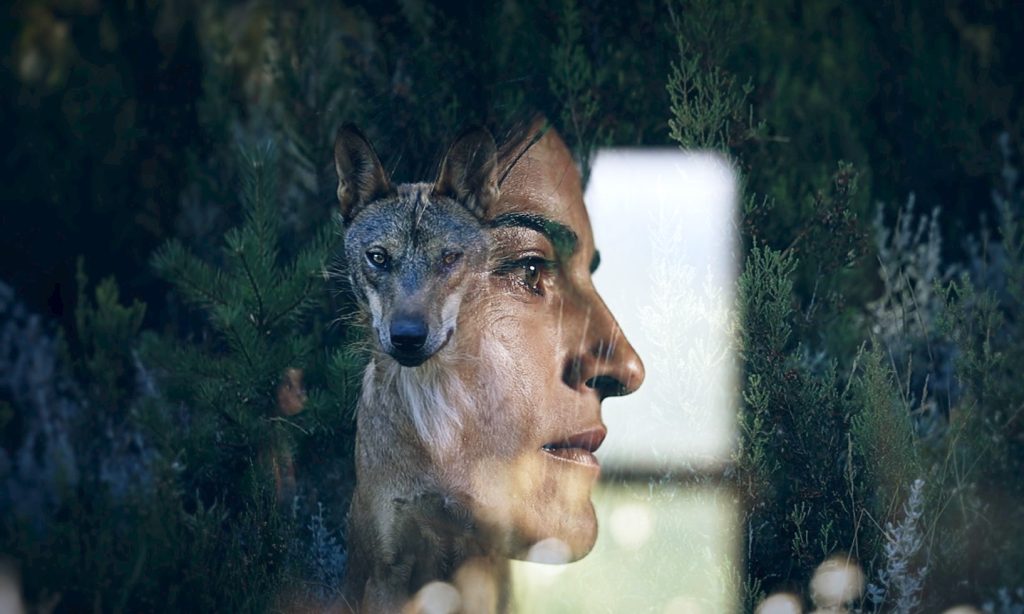 Portada Sharing the Land